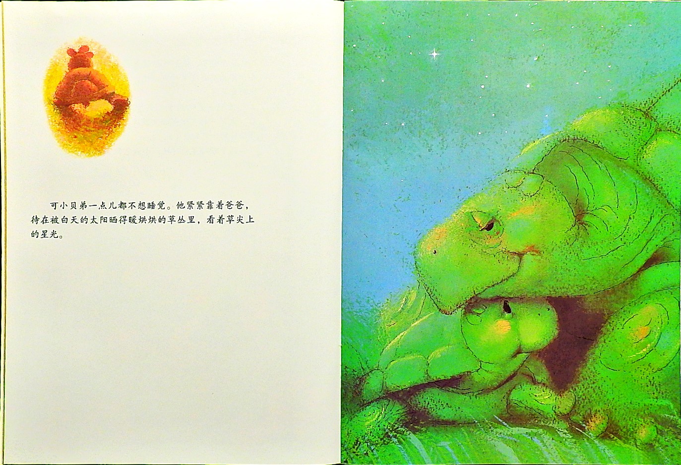 小贝弟的大梦想 (06),绘本,绘本故事,绘本阅读,故事书,童书,图画书,课外阅读